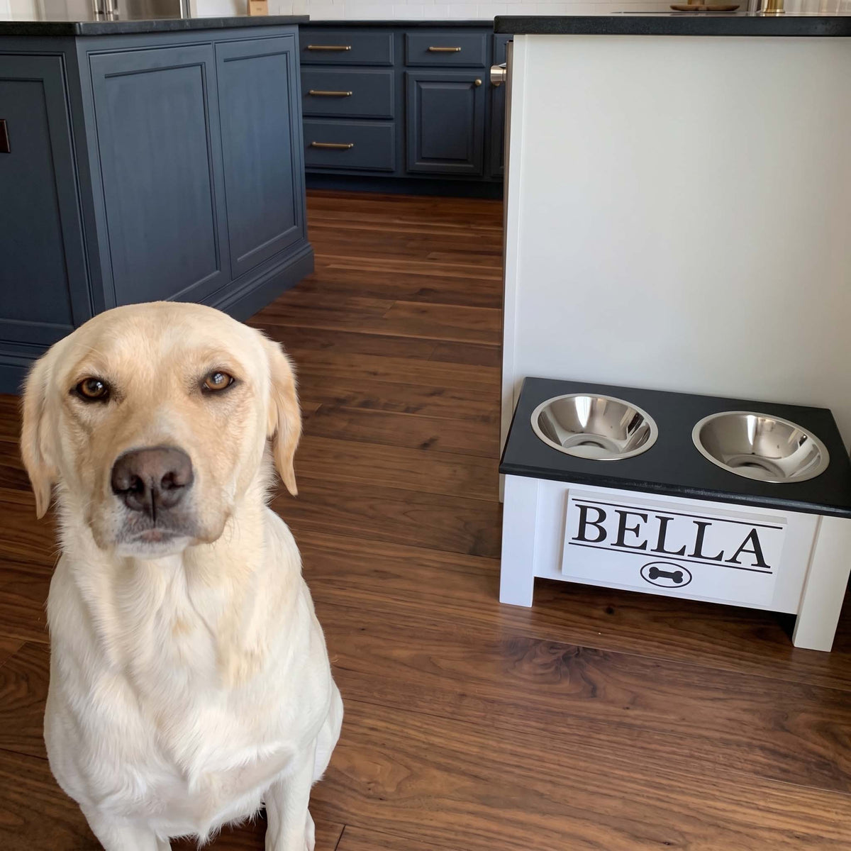 Personalized Elevated Dog Bowl Stand with Storage