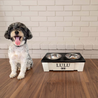 Personalized Elevated Dog Bowl Stand with Storage