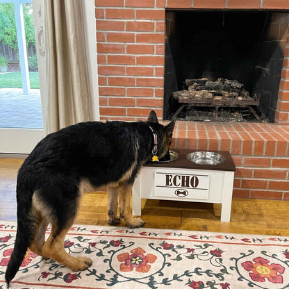 Personalized Elevated Dog Bowl Stand with Storage
