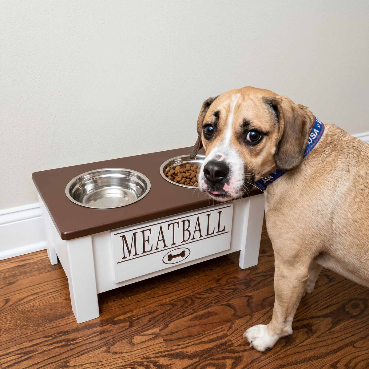 Personalized Elevated Dog Bowl Stand with Storage