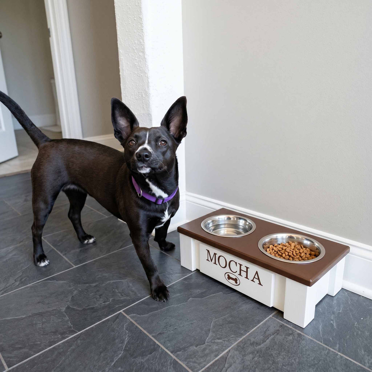 Personalized Elevated Dog Bowl Stand with Storage