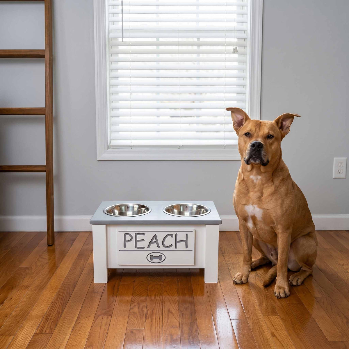 Personalized Elevated Dog Bowl Stand with Storage