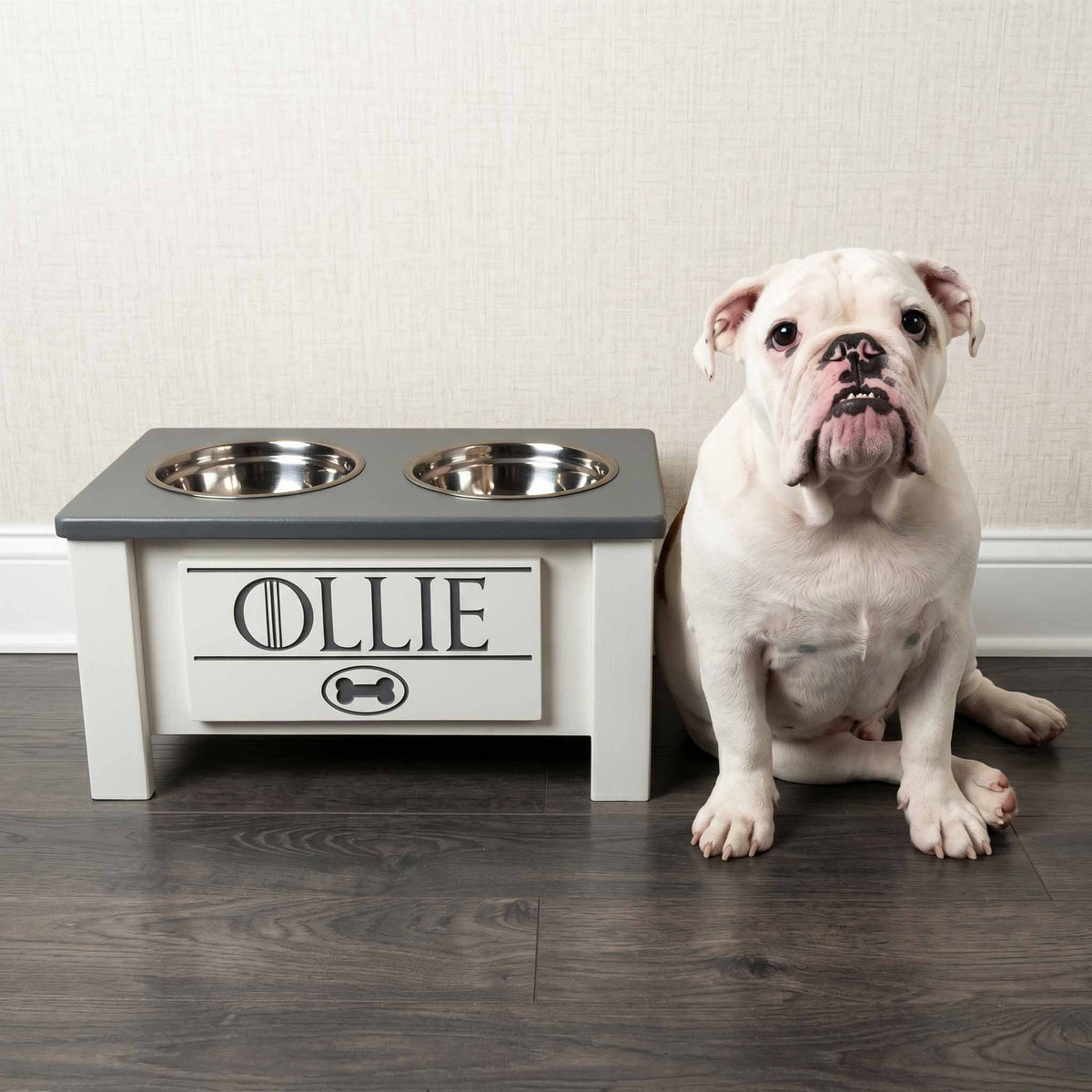 Personalized Elevated Dog Bowl Stand with Storage