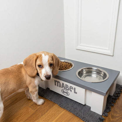 Personalized Elevated Dog Bowl Stand with Storage