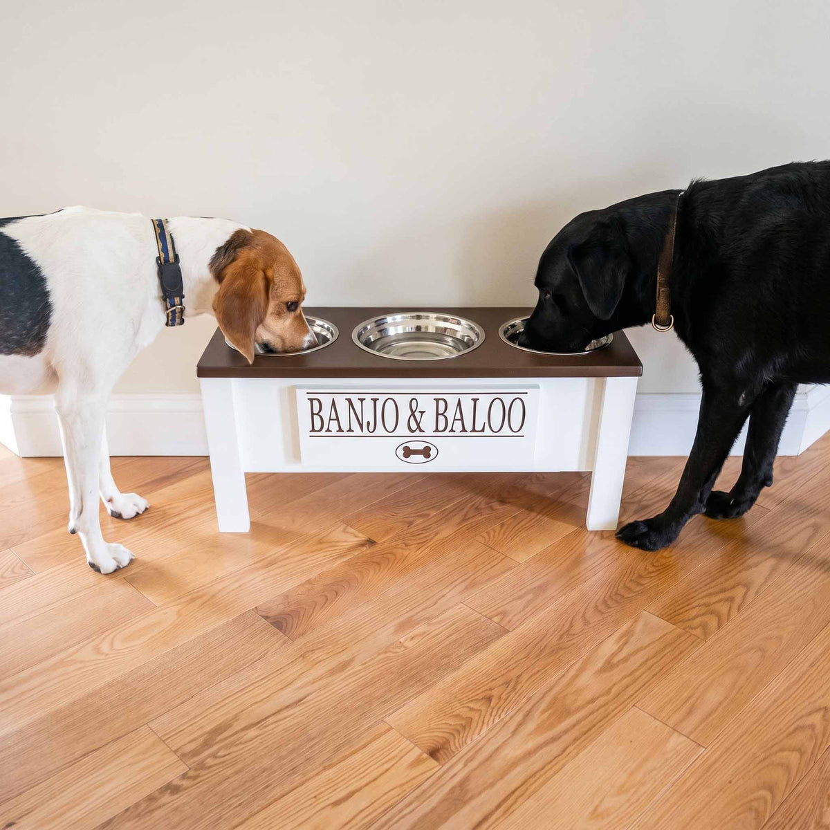 Personalized 3 Bowl Elevated Dog Feeder