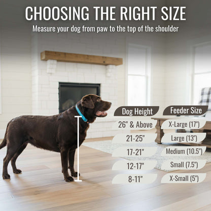 Personalized 3 Bowl Elevated Dog Feeder